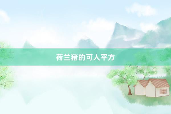荷兰猪的可人平方