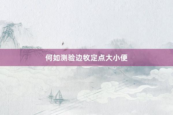 何如测验边牧定点大小便